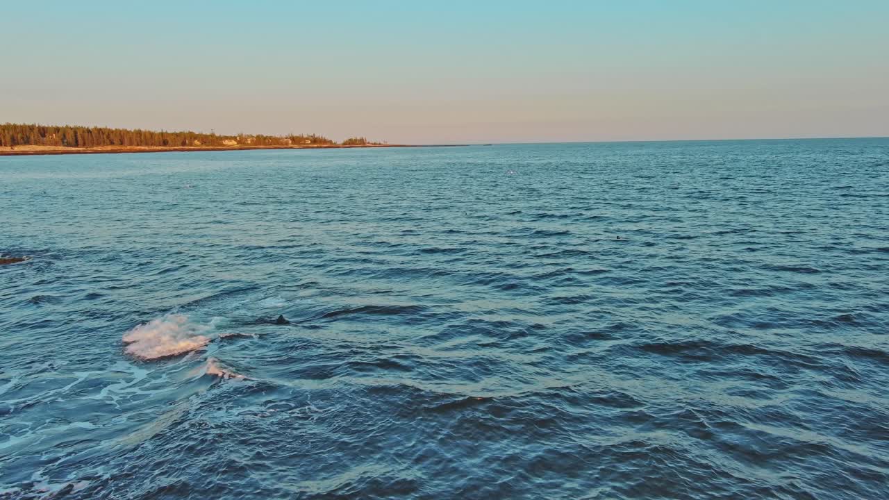 Southport, Maine açıklarında kırılan dalgalar, sabit havadan çekim