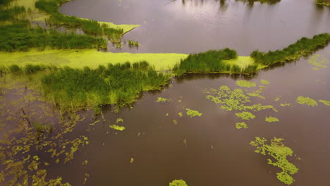 Antena-De-Un-Pantano-De-Humedales-Turbios