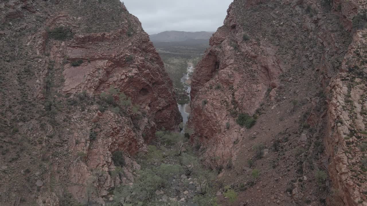 strøm med træer mellem simpson gap i macdonnell ranges - rungutjirpa nær arrernte i northern territory, australien