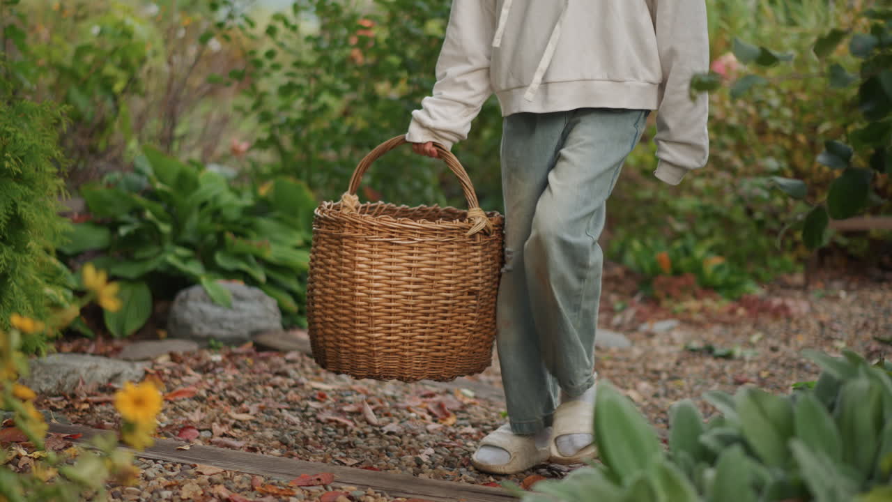 Persona che porta un cesto di vimini attraverso il giardino. Un giovane adulto casuale con felpa con cappuccio e jeans cammina lungo un sentiero di ghiaia raccogliendo rose e fogliame; i passi delicati tra le foglie cadute suggeriscono un giardiniere.