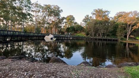 ibis takes flight over serene pond landscape