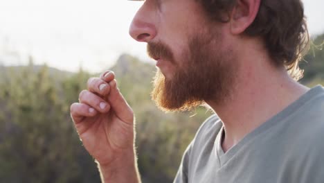 bearded caucasian male survivalist eating berries from bush in wilderness