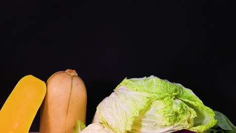 assorted vegetables displayed against a dark backdrop