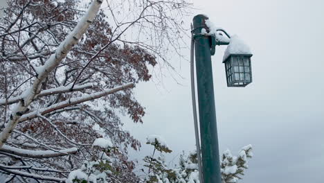 stationary view of a lamp post in the snow