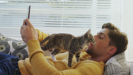 Young-man-lying-on-sofa-using-mobile-phone-while-cat-walking-on-him-4K-4k