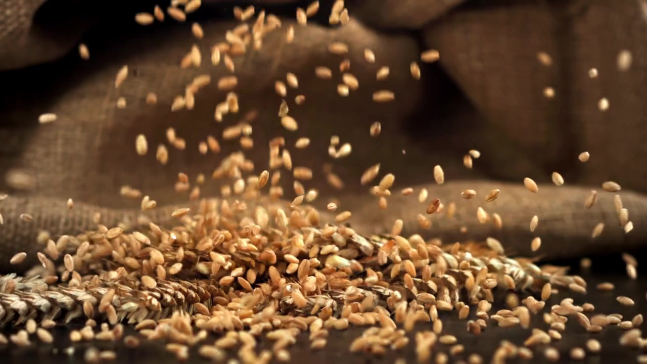 Grani di grano dorati che cadono sulle spighe con uno sfondo di tela di iuta rustica