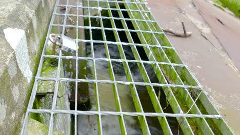 descarga de aguas residuales en el canal, concepto de contaminación del agua - toma manual