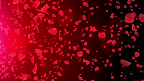 falling rose petals