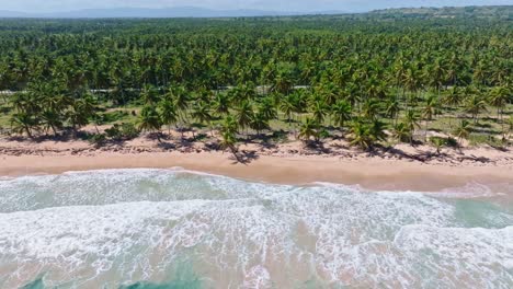 Aerial-trucking-shot-along-pristine-untouched-Arroyo-Salado-beach,-Cabrera