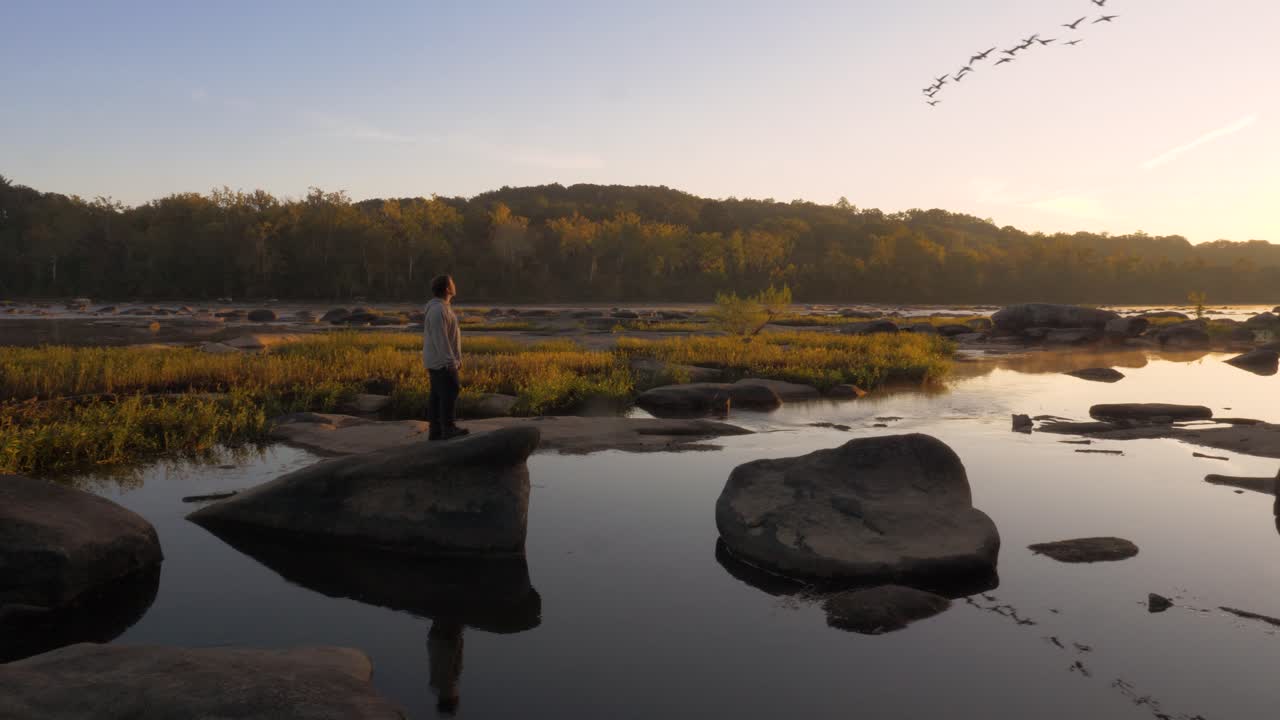 el hombre se encuentra sobre una roca en el río james observando una bandada de gansos volar hacia el sur durante el invierno.