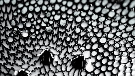 A close-up macro shot revealing the intricate patterns of black and white liquid bubbles forming a unique, abstract design