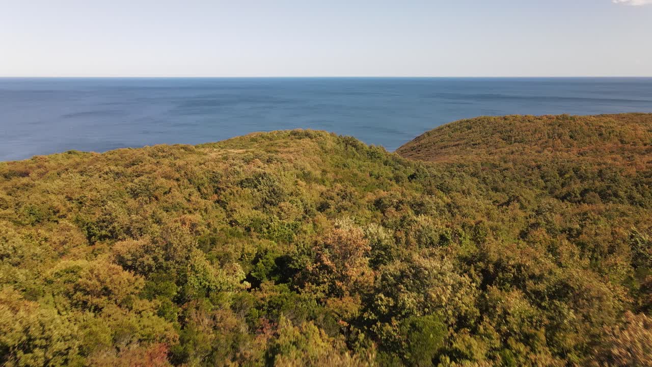 bosque de otoño vista al mar