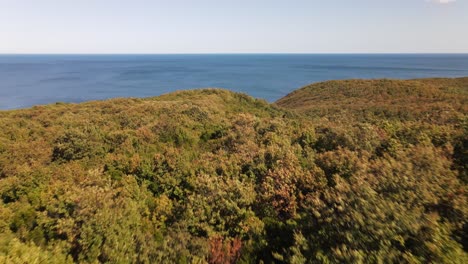 Autumn-Forest-Sea-View