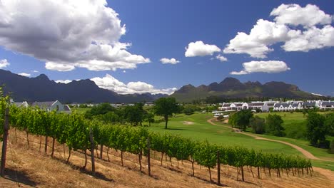 homesteads on a golfing estate