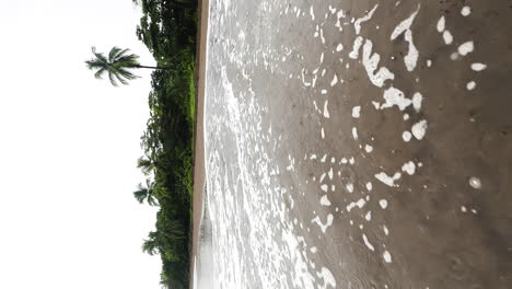 Parque-Nacional-Tortuguero-En-Costa-Rica-Centroamérica-Vertical-De-Barco-De-Crucero-Navegando-Por-El-Agua