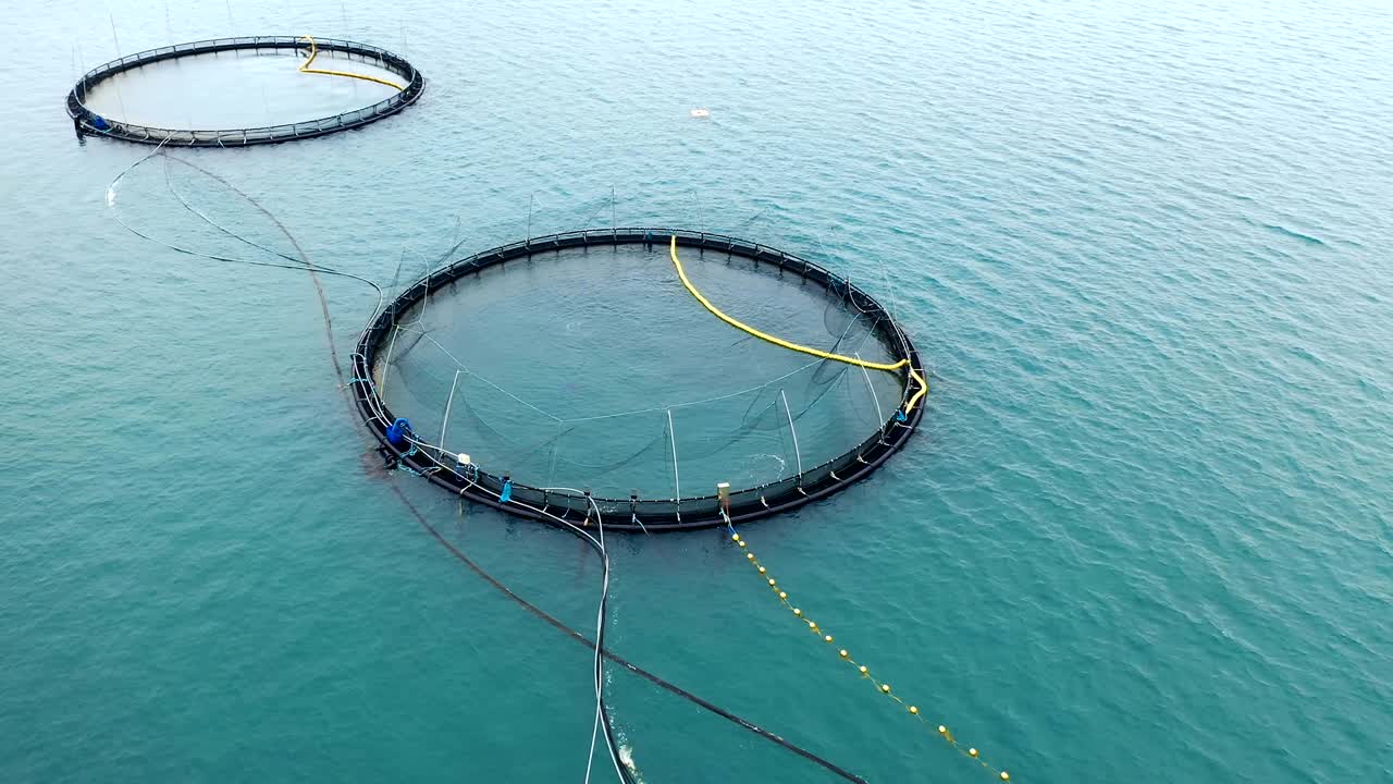 노르웨이에서 연어  ⁇ 시를 하는 공중 촬영