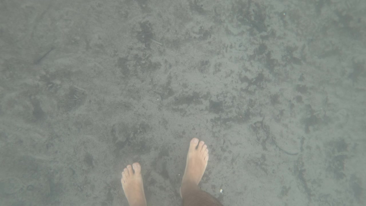 Vista subacquea: piedi su un fondale sabbioso, Golfe-Juan, Francia