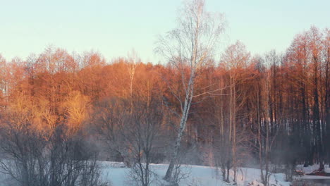 winter wonderland. panorama of winter forest landscape.