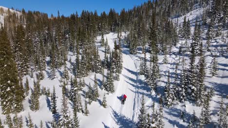 Excellent-Aerial-View-Of-Snow-Buggies-Driving-Up-A-Wintry-Mountain-Path,-Lined-With-Pine-Trees