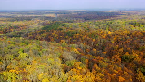 nature landscape in autumn. panoramic view of idyllic forest with bright trees in fall season. orange, green, yellow, red leaves treetops of woods. aerial view.