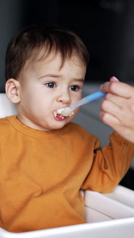 mom's hand giving a spoonful of porridge to a toddler sitting in a feeding chair. kid chews slowly looking at bagel in his hand. vertical video