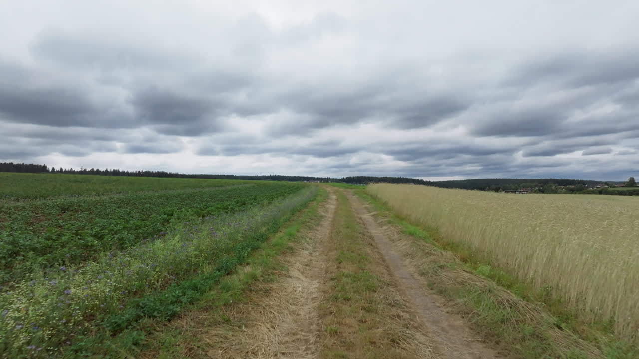 imágenes aéreas de carreteras rurales entre campos