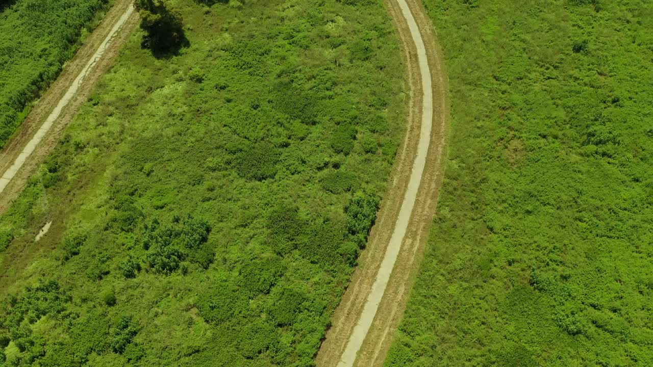 revelación inversa de nueva orleans en el parque de la ciudad