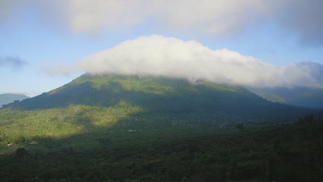 A-mist-covered-coffee-forest-mountain-in-Santa-Ana,-El-Salvador-during-a-windy-morning