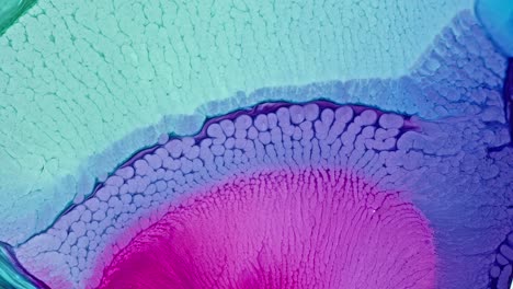 vibrant ink patterns diffusing in water, resembling a microscopic view