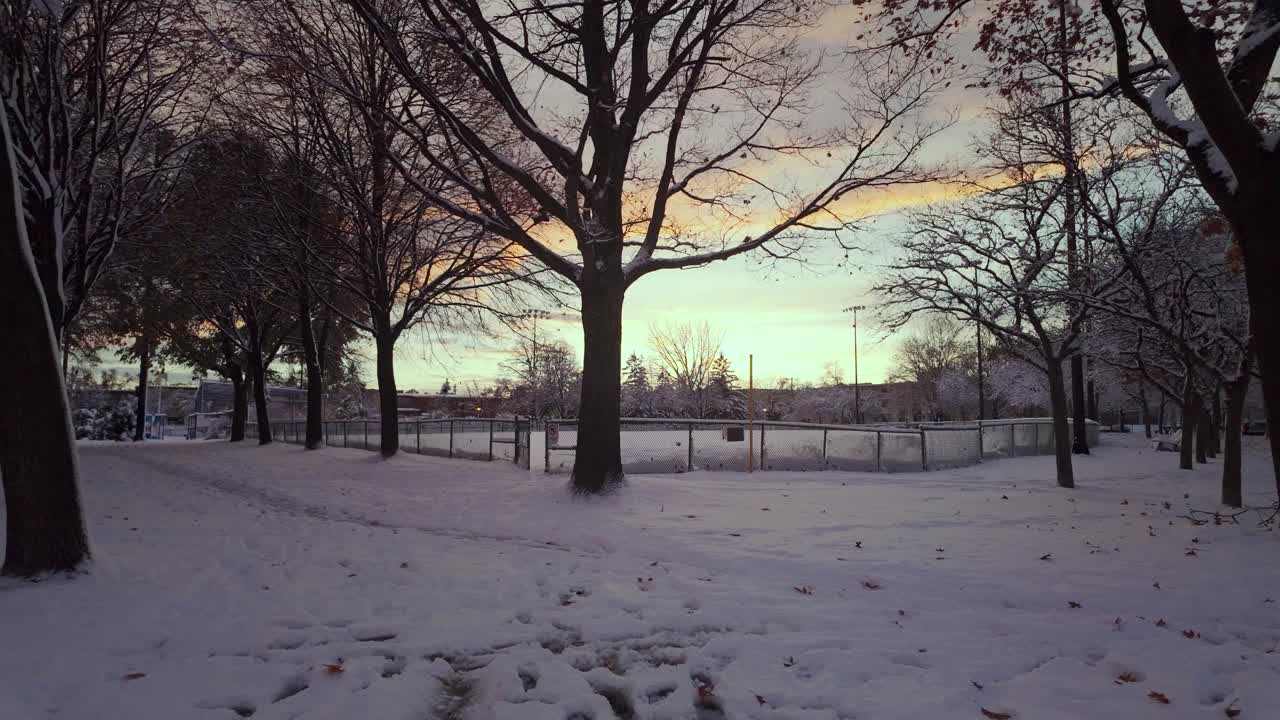 Bare Trees And Snow-covered Path At Lafond Park During Winter In Montreal, Canada. - wide shot
