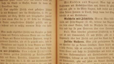 Desenfoque-Y-Visión-Nítida-Del-Antiguo-Libro-De-Cocina-Alemán-Y-Sus-Descripciones-De-Alimentos