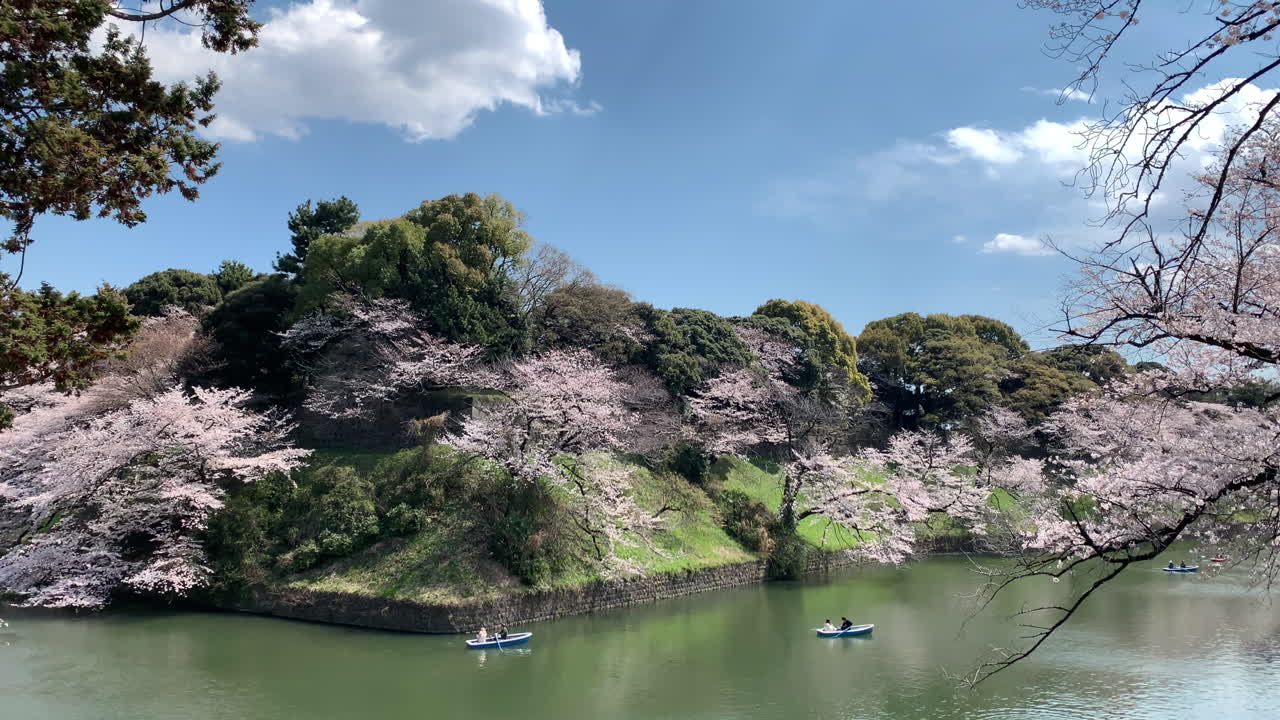 gente navegando en botes por el foso del palacio imperial en el parque chidorigafuchi frente a los cerezos en flor