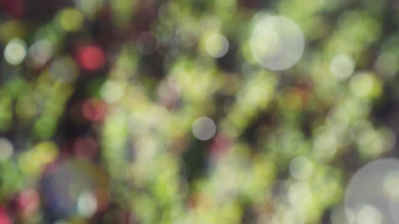 fondo de resorte abstracto con bokeh