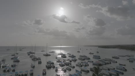 drone view of moored boats in bayahibe, dominican republic. calm caribbean waters and hazy sun create a peaceful tropical mood.