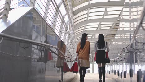 beautiful young woman shopping together in city. lady holding red shopping bag on hands.