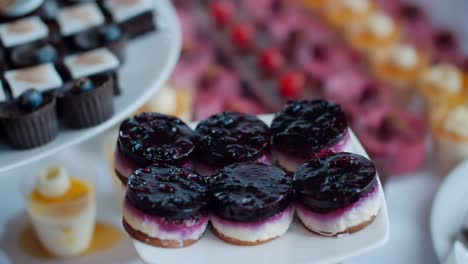 close-up pull-out of blueberry dessert on plate at big pastry buffet