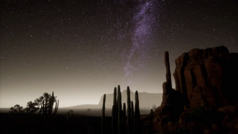 stunning night sky showcasing the milky way over desert landscape with cacti
