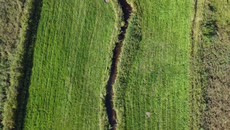 Overhead-4k-drone-clip-over-the-green-fields-and-the-bank-of-the-Afon-Lligwy-river-in-Wales,-UK