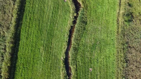 clip de avión no tripulado de 4k sobre los campos verdes y la orilla del río afon iligwy en gales, reino unido