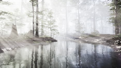 Pantano-De-Estanque-Con-Atmósfera-única-Y-Niebla-Debajo-De-Los-árboles