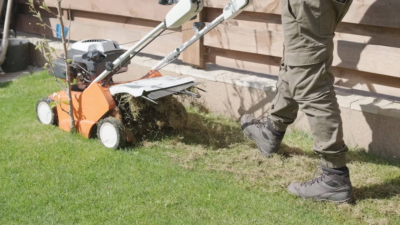 Person Operating a Scarifier Machine to Dethatch a Green Lawn