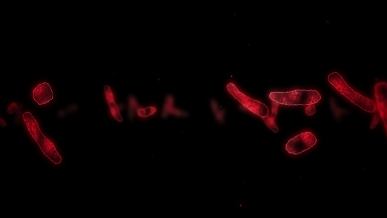 virus de célula en forma lineal. virus patógenos que causan infección. animación en bucle de virus humanos. microorganismo bacteriano. brote de enfermedad viral.