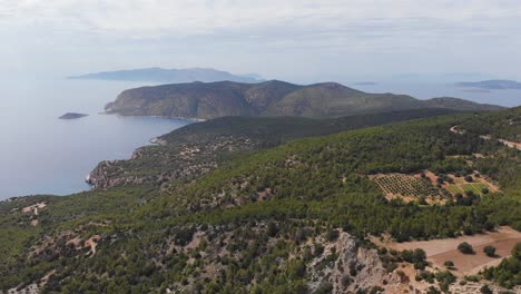 AERIAL:-Beautiful-coastline-of-rhodes-island,-sea-view-and-olive-trees