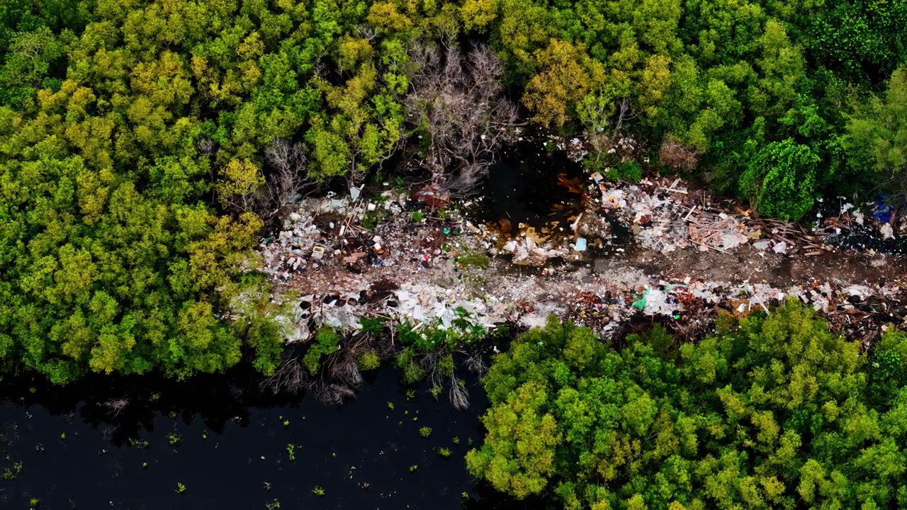Impressionanti riprese aeree con drone rivelano una devastante striscia di rifiuti illegali e spazzatura scaricati al centro di una lussureggiante foresta di mangrovie, evidenziando l'inquinamento ambientale e la distruzione ecologica.