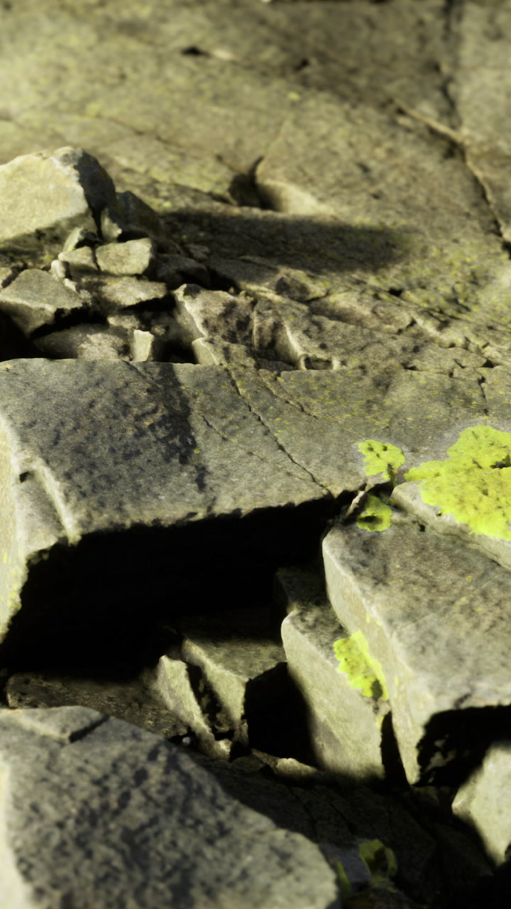 Rock surface showing texture and cracks in natural light during daytime