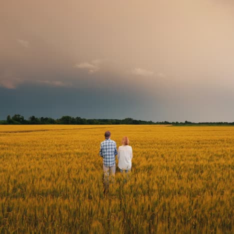 Dos-Agricultores-De-Pie-En-Un-Campo-De-Trigo-Contra-Un-Cielo-Tormentoso-3