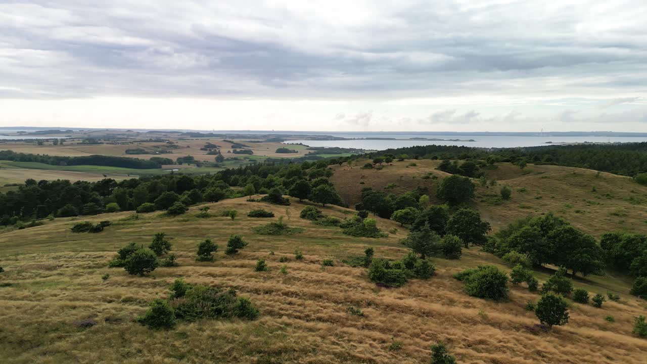 sobrevuelo aéreo de pastizales y brezales del parque trehøje