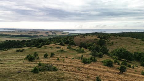 Luftüberführung-über-Grasland-Und-Heide-Im-Trehøje-Park