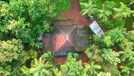 one small home in middle of greenery trees in forest closeup to wide bird eye view