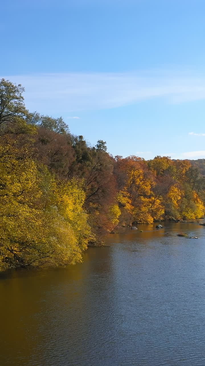 Beautiful autumn scenery. Calm blue river surrounded with yellow, red and orange tree under blue sky. Panoramic view. Vertical video